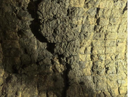 Wear Condition of Bricks Inside Zinc-Containing Solid Waste Rotary Kiln